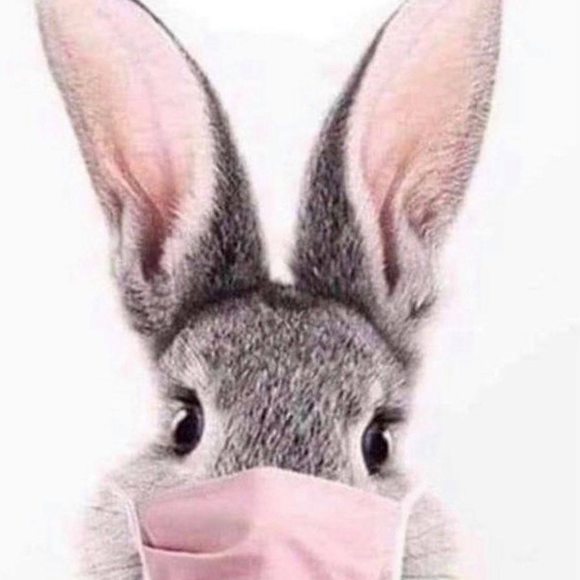 Meet your Posher, Mary - Picture 1 of 1